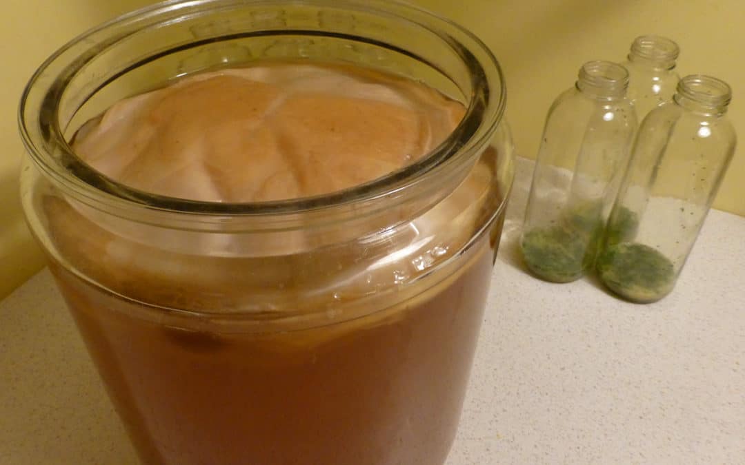 The Basic Kombucha Brewing Recipe