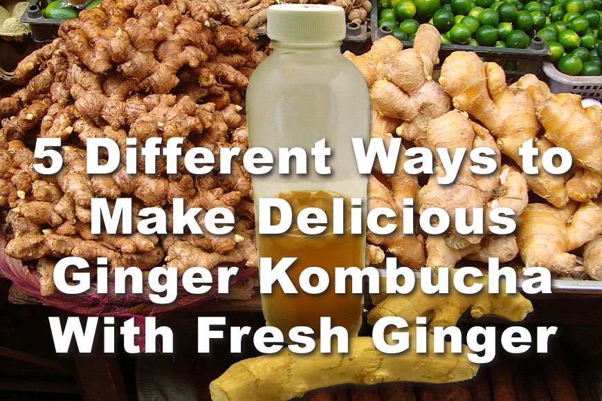 https://www.kombuchajournal.com/wp-content/uploads/2018/02/5-Different-Ways-to-Make-Delicious-Ginger-Kombucha-With-Fresh-Ginger.jpg