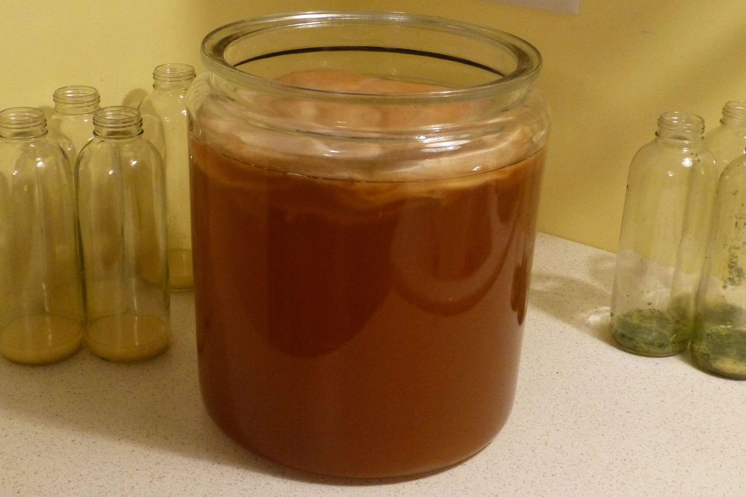 Best Kombucha Recipe - How To Make Kombucha